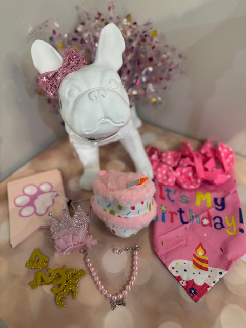 Doggie Birthday Party Set with Cake