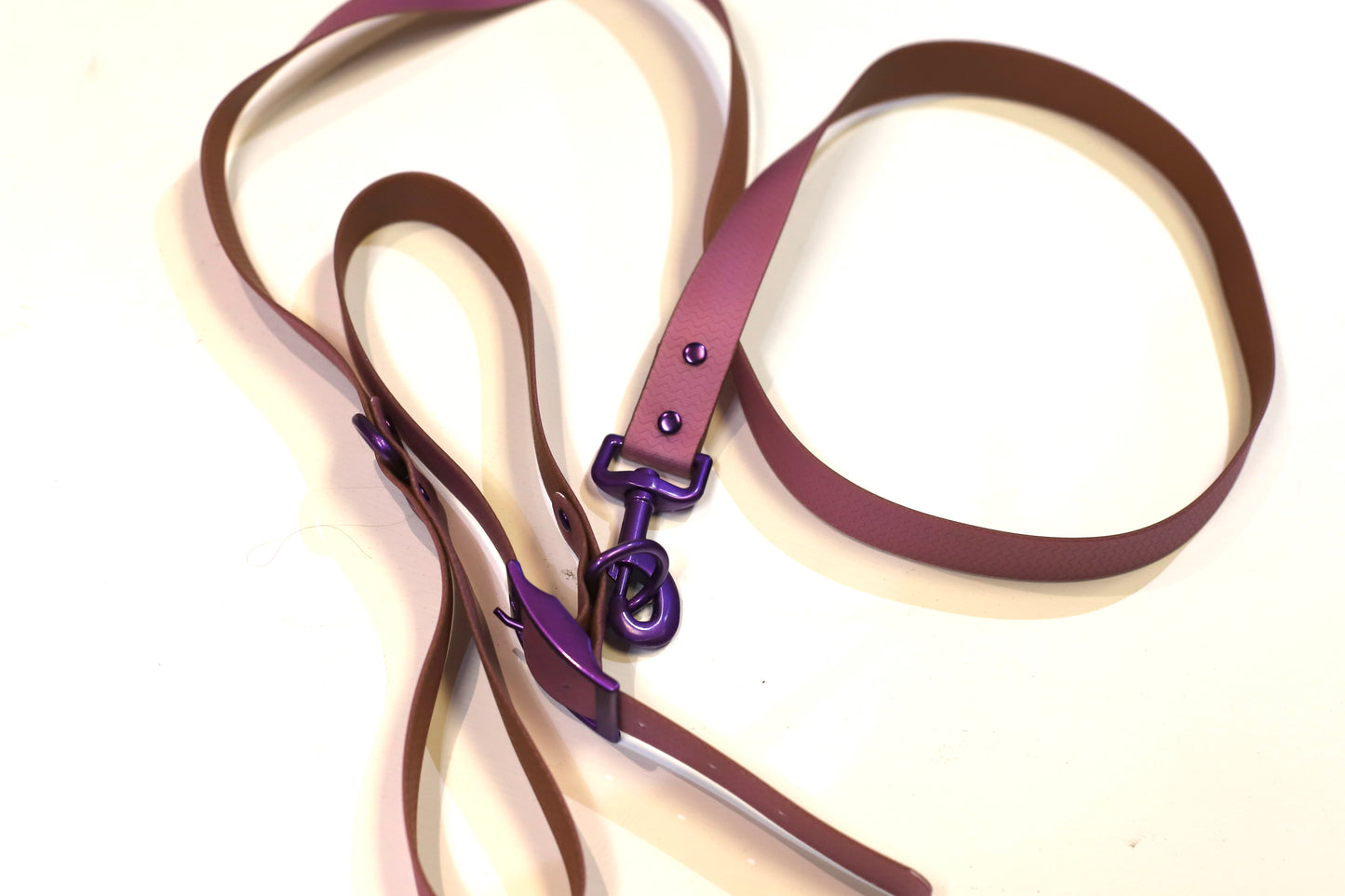 Two Tone Waterproof Biothane Dog Leash and Collar Set