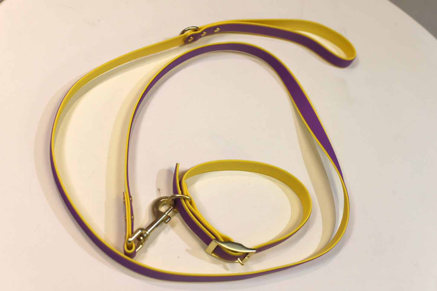 Two Tone Waterproof Biothane Dog Leash and Collar Set