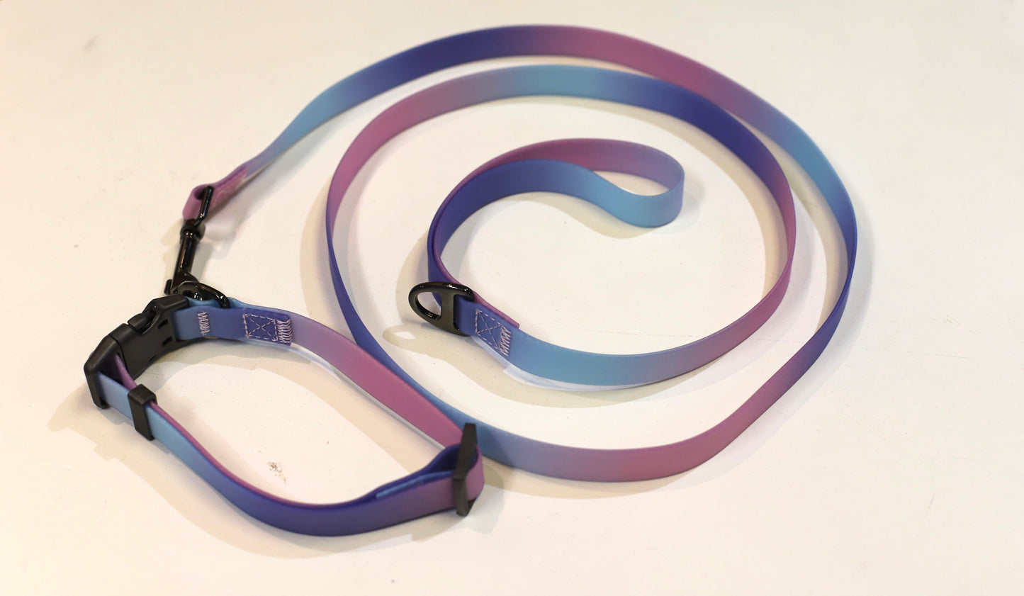 Two Tone Waterproof Biothane Dog Leash and Collar Set