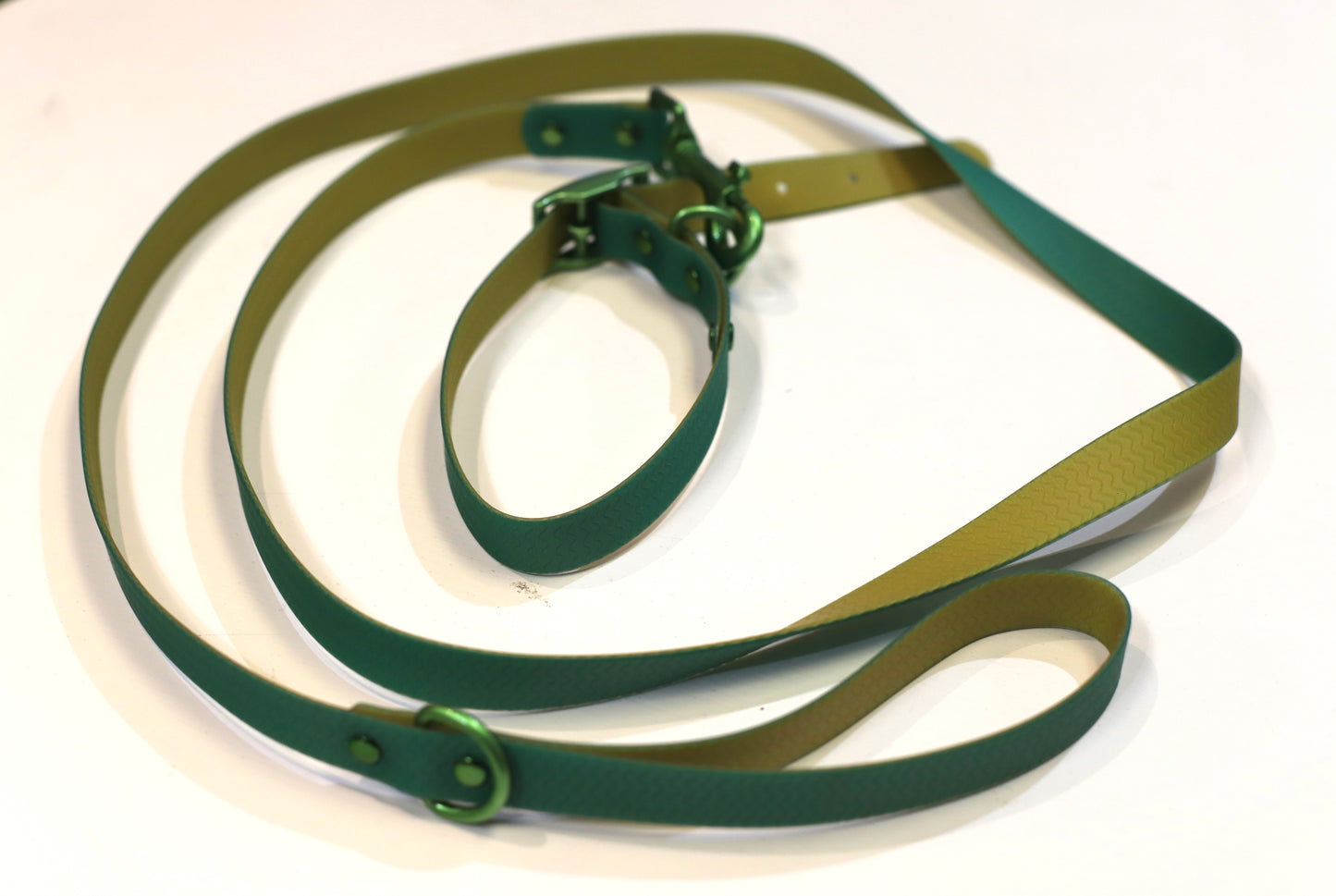 Two Tone Waterproof Biothane Dog Leash and Collar Set