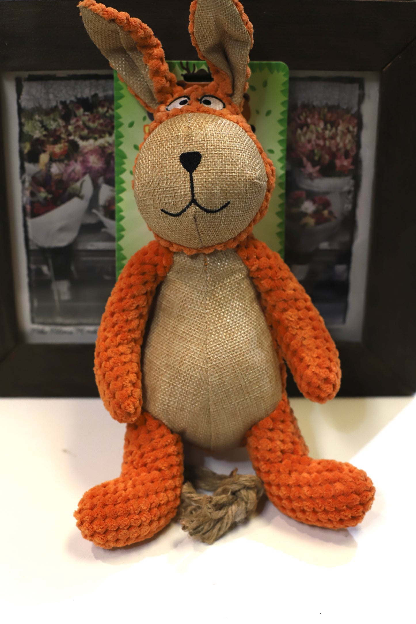 Stuffed Animal Dog Toy