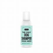 The Only Dog Shampoo Dogs Need