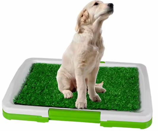 Indoor Dog Toilet Urinary Trainer Grass Mat Potty Pad Indoor House Litter Tray Restroom For Pets - 2pcs Straw mat+1pcs tray,51*76cm