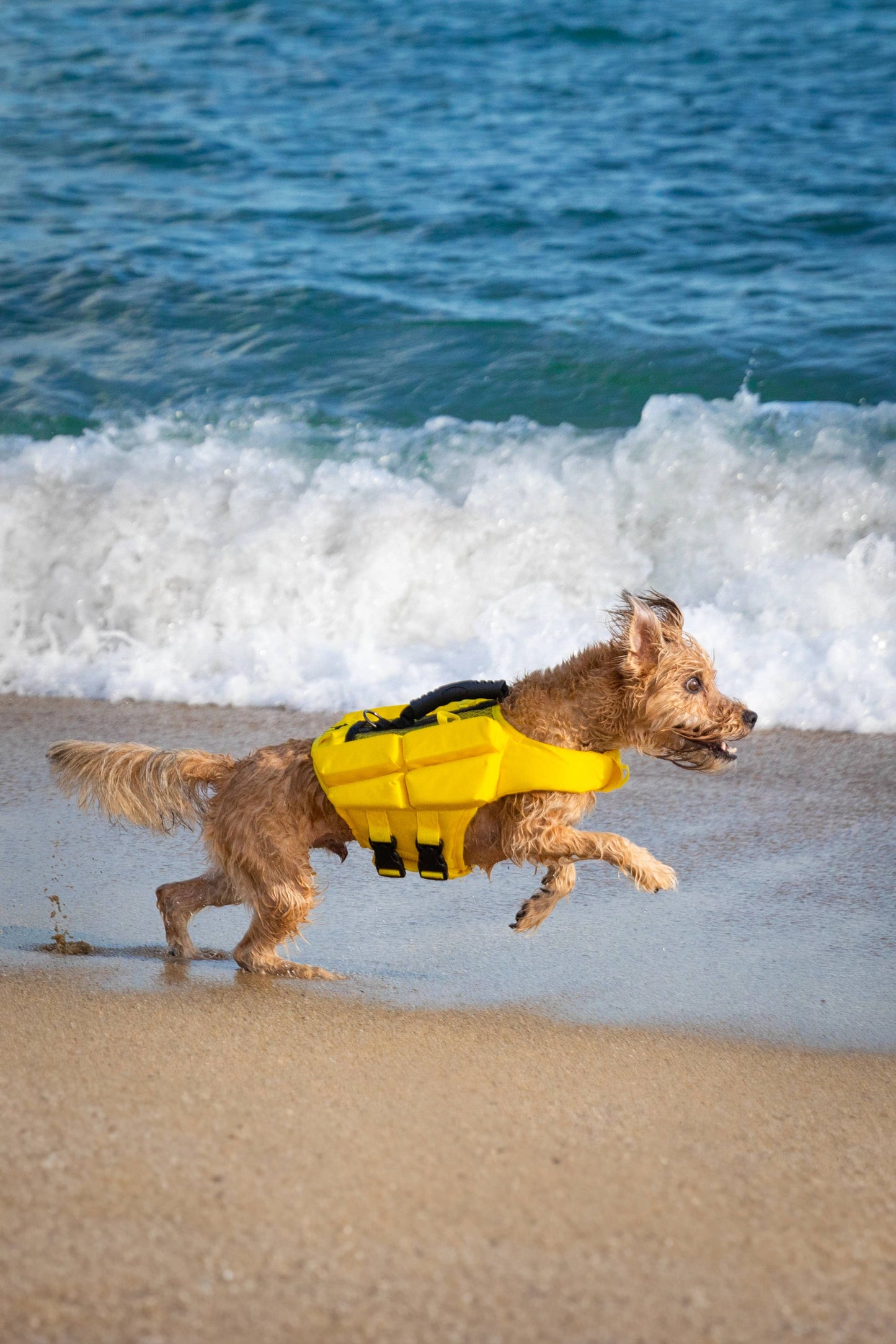 NOAH AND PAW LLC - Human Standards Dog Lifejacket Design with 4x Foam Support for Max Floating - Yellow