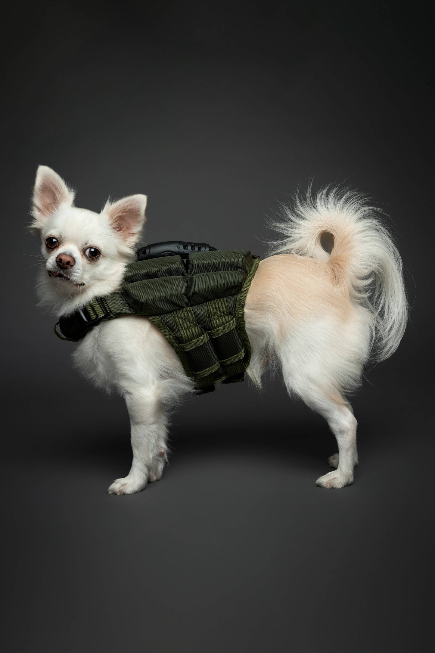 NOAH AND PAW LLC - Human Standards Dog Lifejacket Design with 4x Foam Support for Max Floating - Green