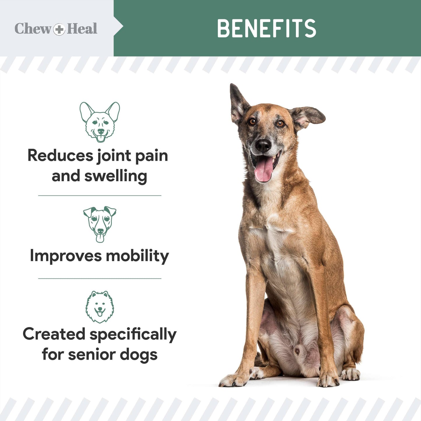 Chew + Heal - Senior Advanced Hip and Joint Soft Chews - Upgraded Formula