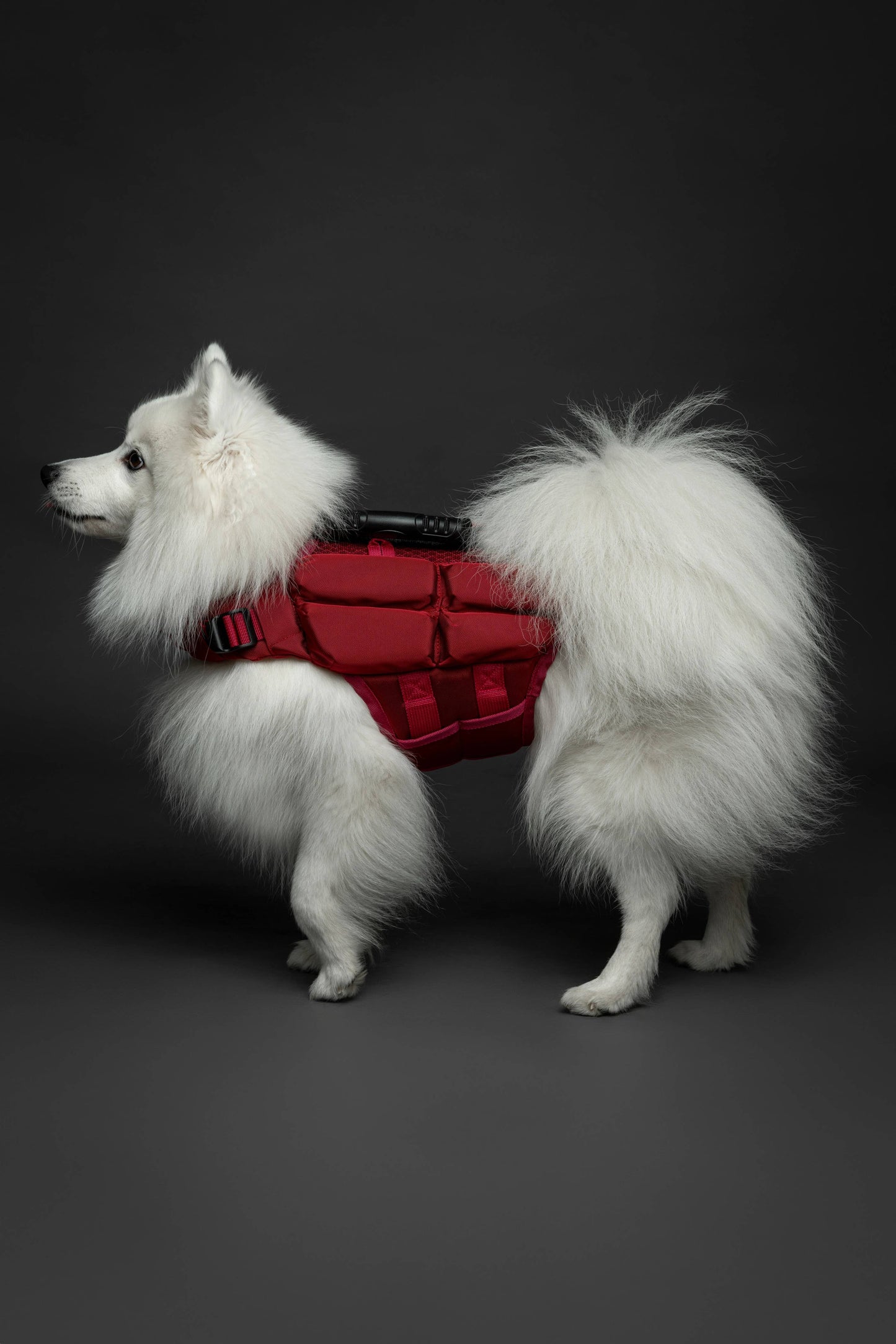 NOAH AND PAW LLC - Human Standards Dog Lifejacket Design with 4x Foam Support for Max Floating - Red