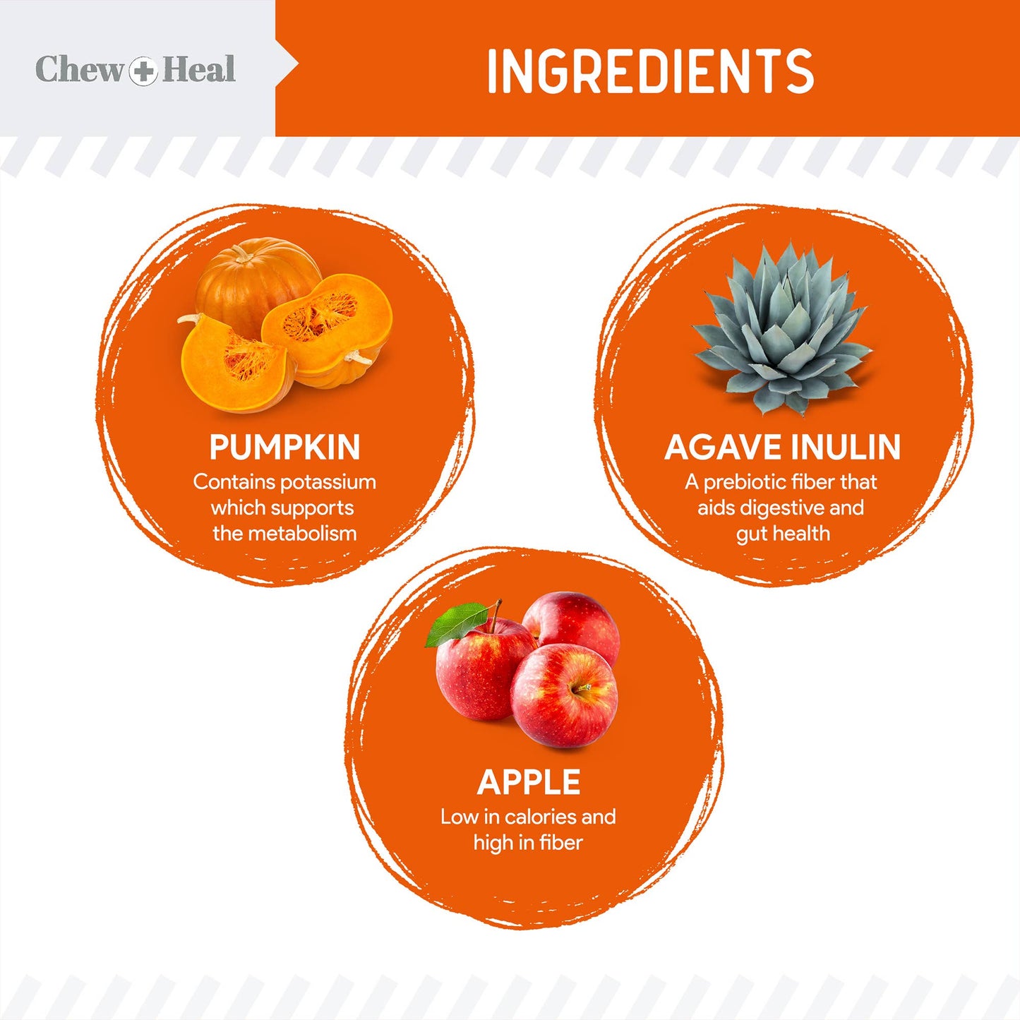 Chew + Heal - Crunchy Treats with Pumpkin & Probiotics for Dogs