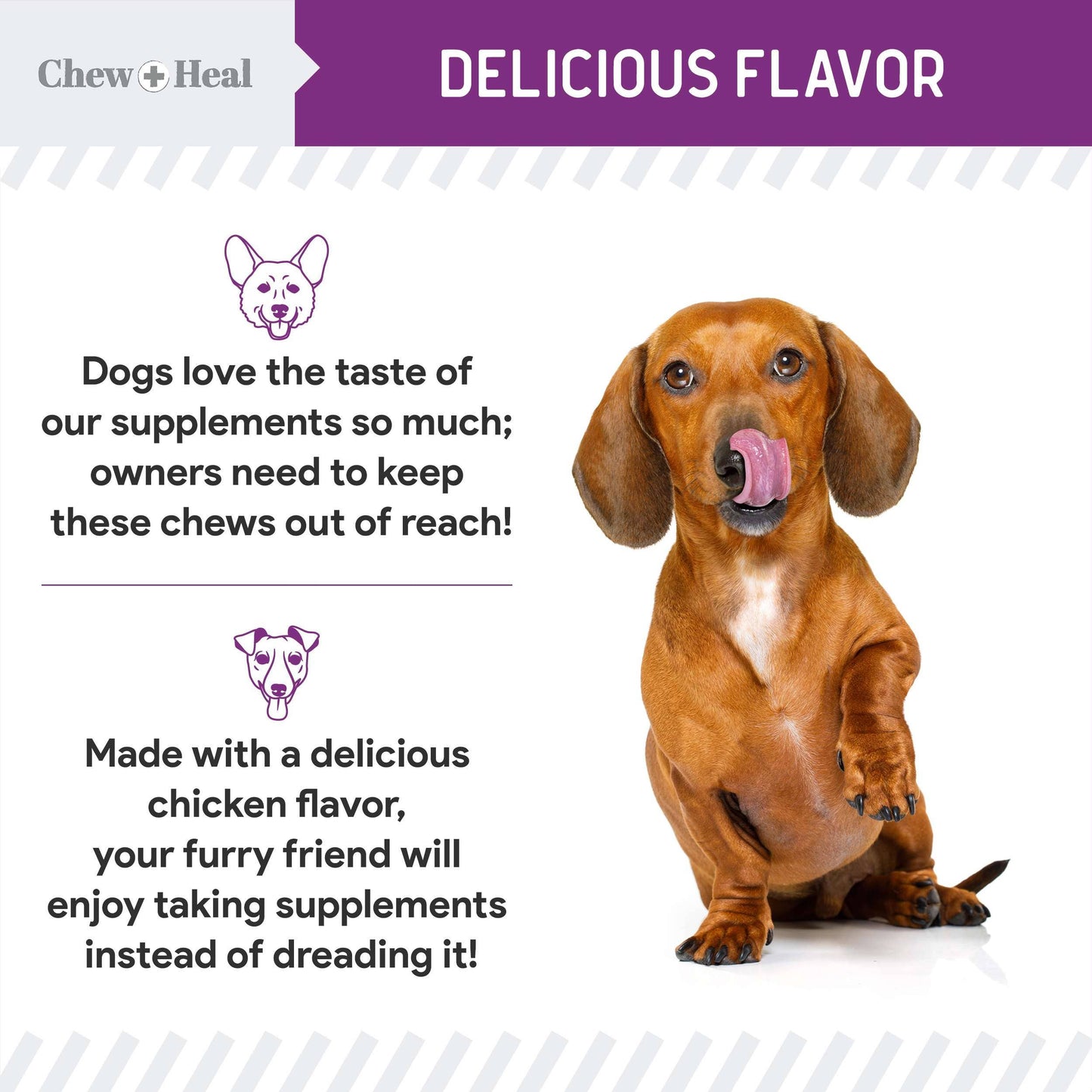 Chew + Heal - Chew + Heal Stop the Scoot Anal Gland & Bowel Support