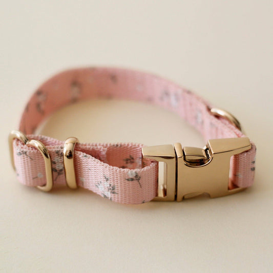 Bloire - Collar Meadow