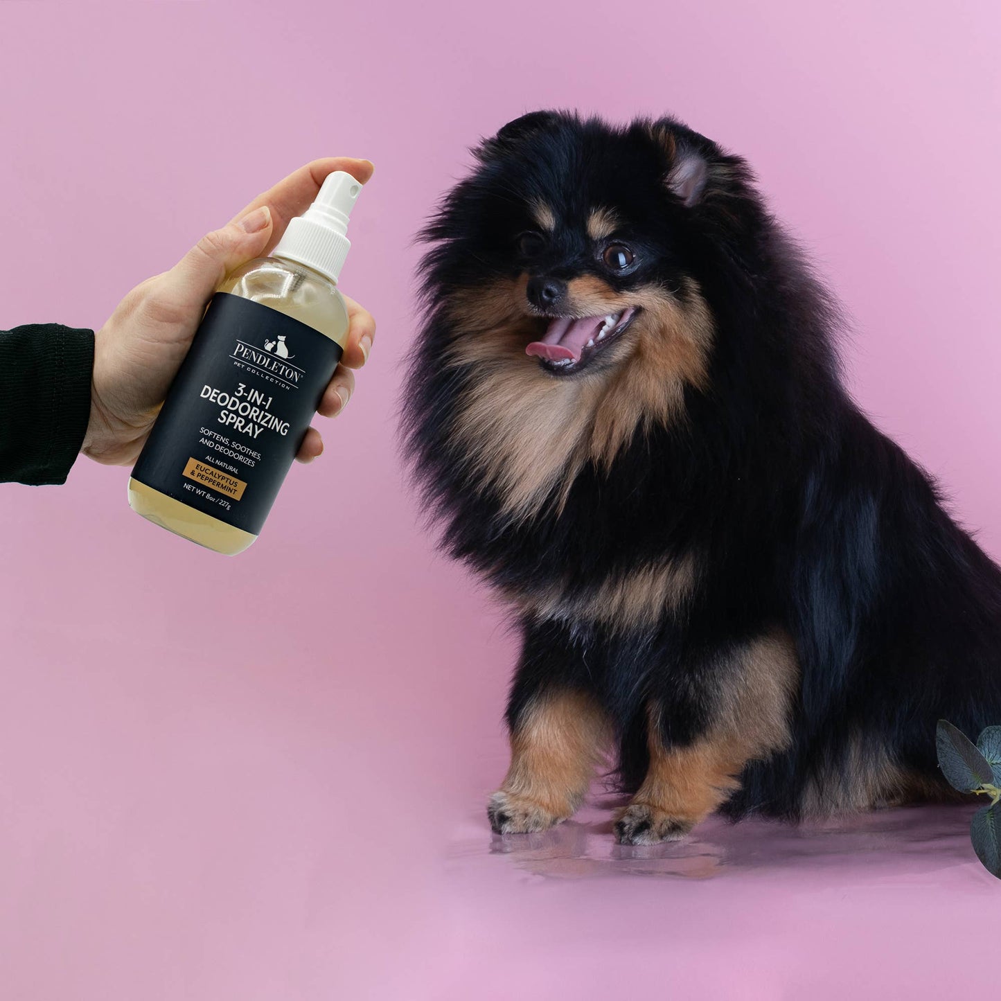 Carolina Pet Company - Pendleton Pet Eucalyptus + Peppermint Deodorizer for Dogs