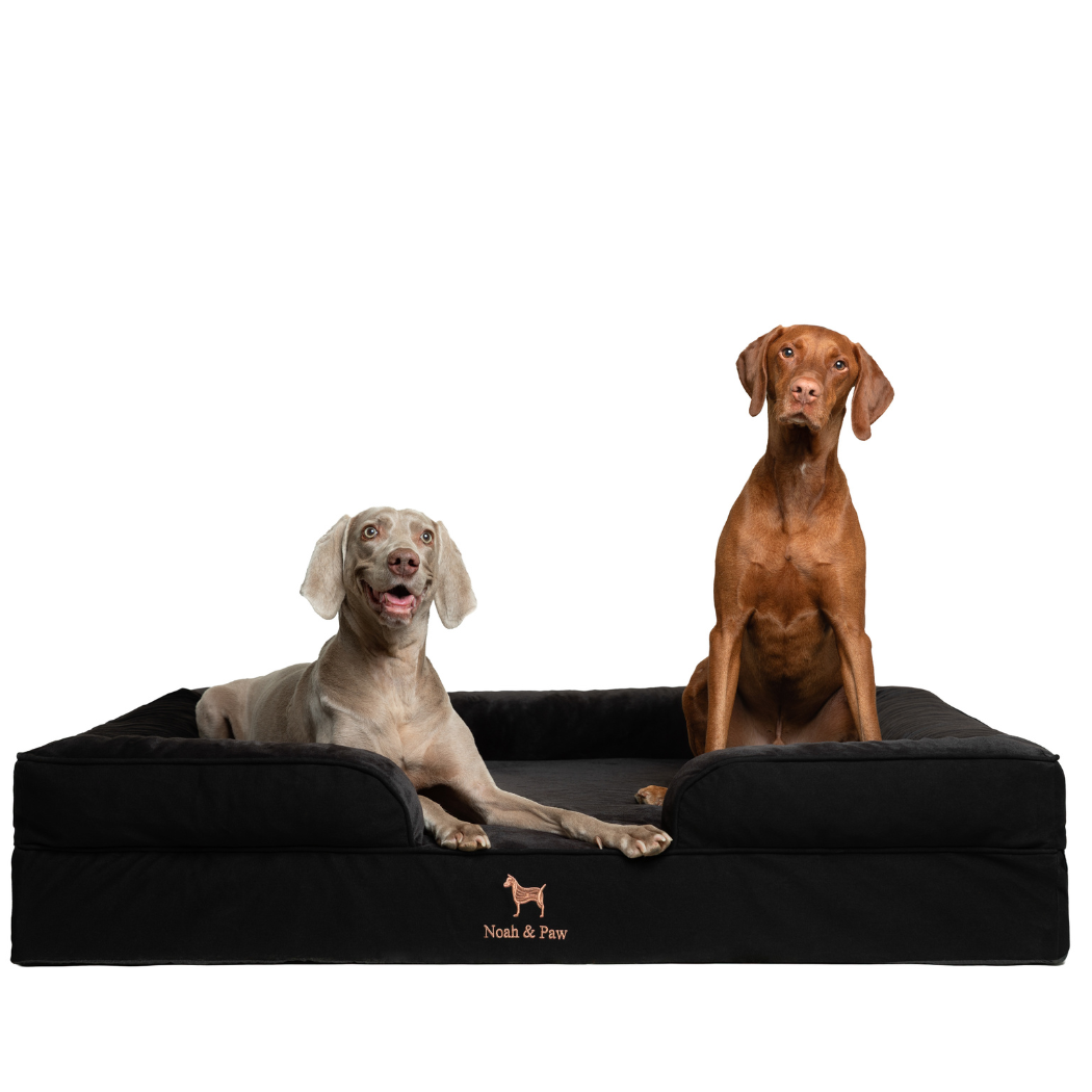 NOAH AND PAW LLC - Denim Orthopedic Pet Bed, Memory Foam, Infused with Cooling Gel