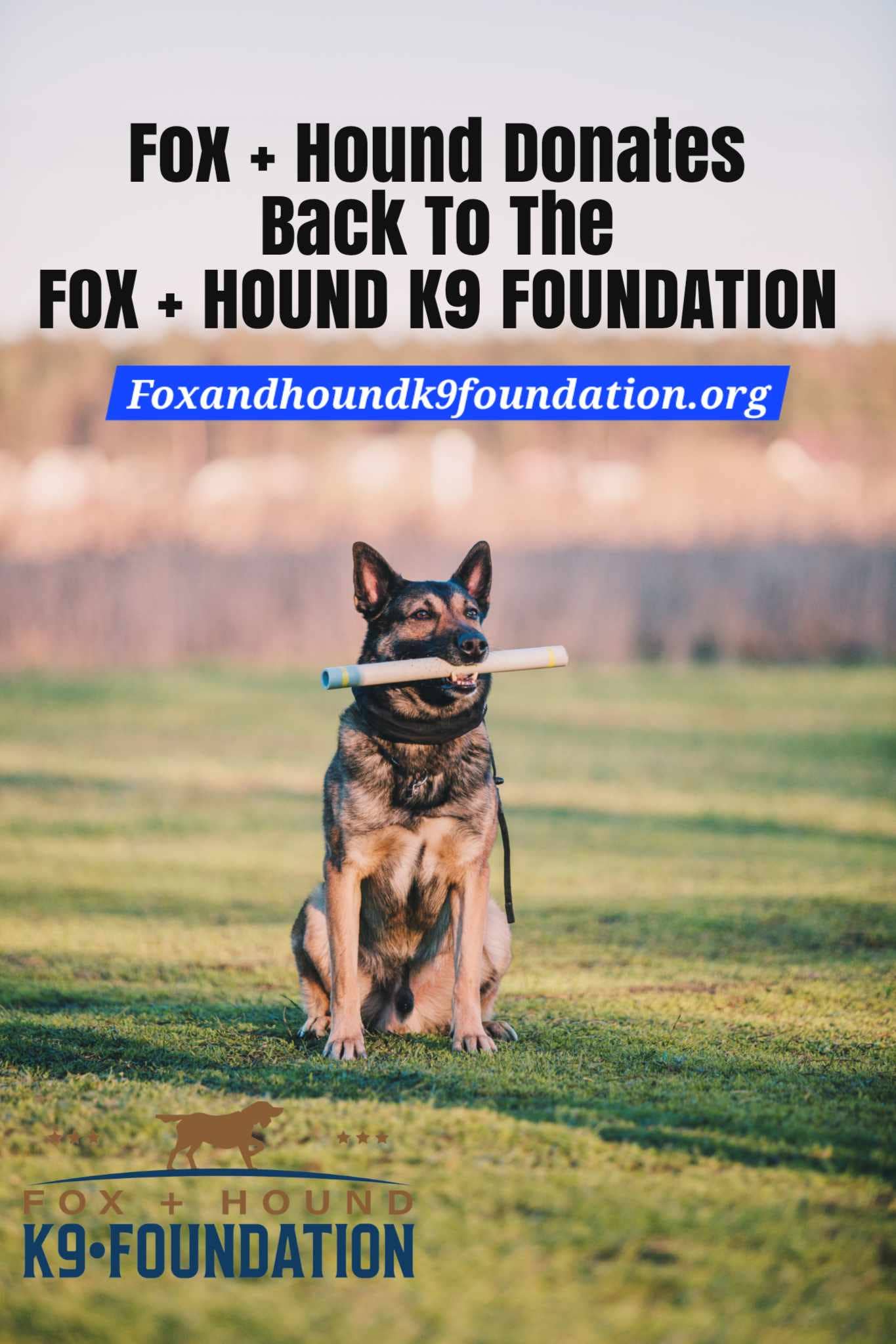 Fox + Hound - Fox + Hound Gator's Kennel Cleaner, crates, kennels 32 Ounce