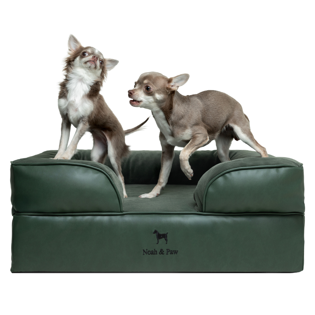 NOAH AND PAW LLC - Faux Leather, Orthopedic Pet Bed, Eggshell Memory Foam, Infused with Cooling Gel, Sofa Style