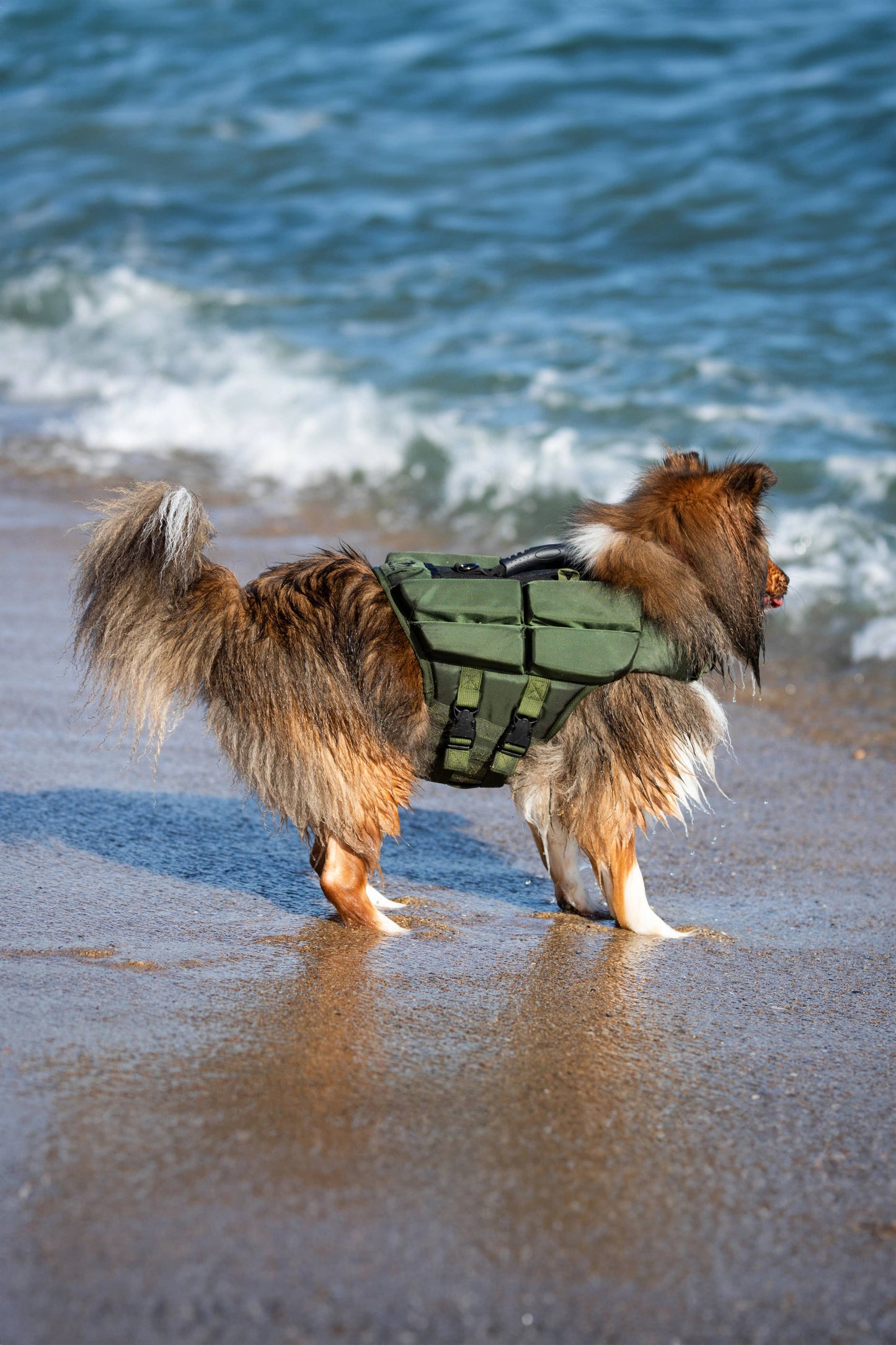 NOAH AND PAW LLC - Human Standards Dog Lifejacket Design with 4x Foam Support for Max Floating - Green