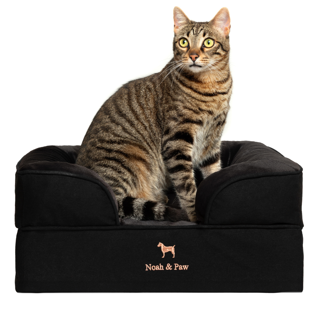 NOAH AND PAW LLC - Denim Orthopedic Pet Bed, Memory Foam, Infused with Cooling Gel