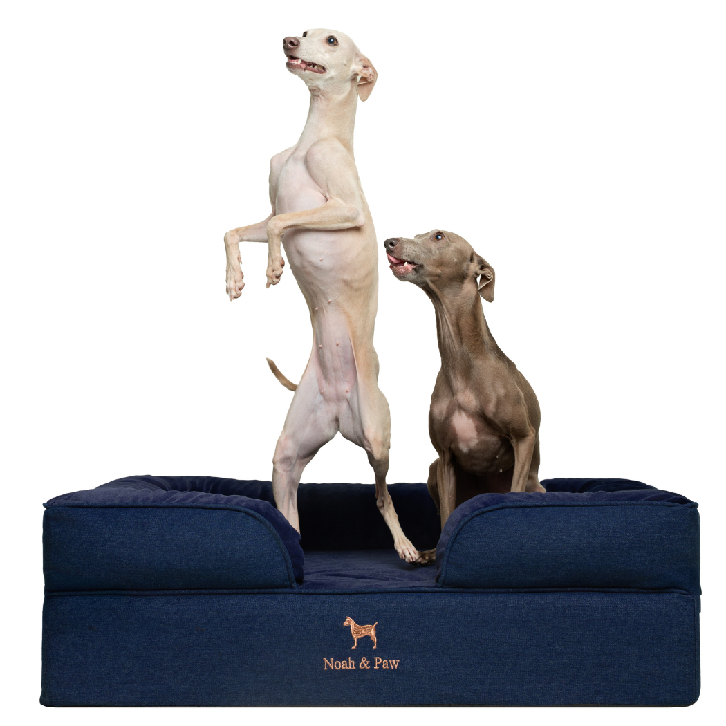 NOAH AND PAW LLC - Denim Orthopedic Pet Bed, Memory Foam, Infused with Cooling Gel