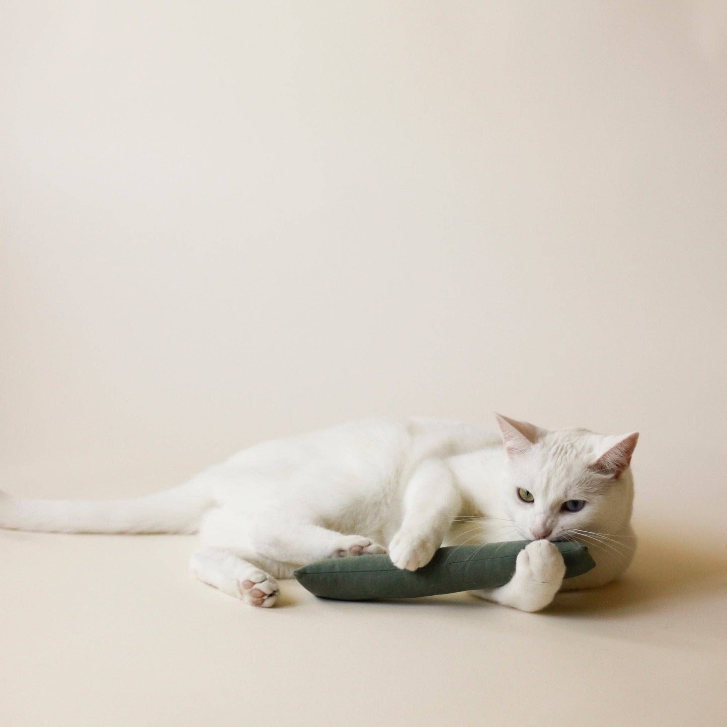 Bloire - Cat Toy Essential