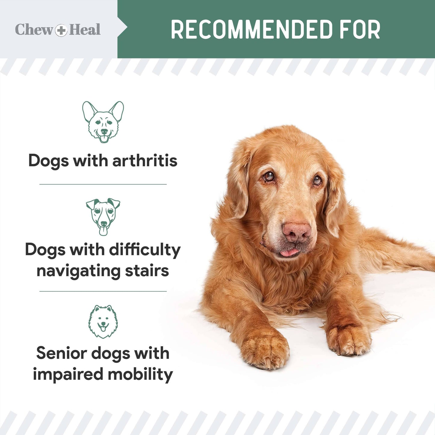Chew + Heal - Senior Advanced Hip and Joint Soft Chews - Upgraded Formula