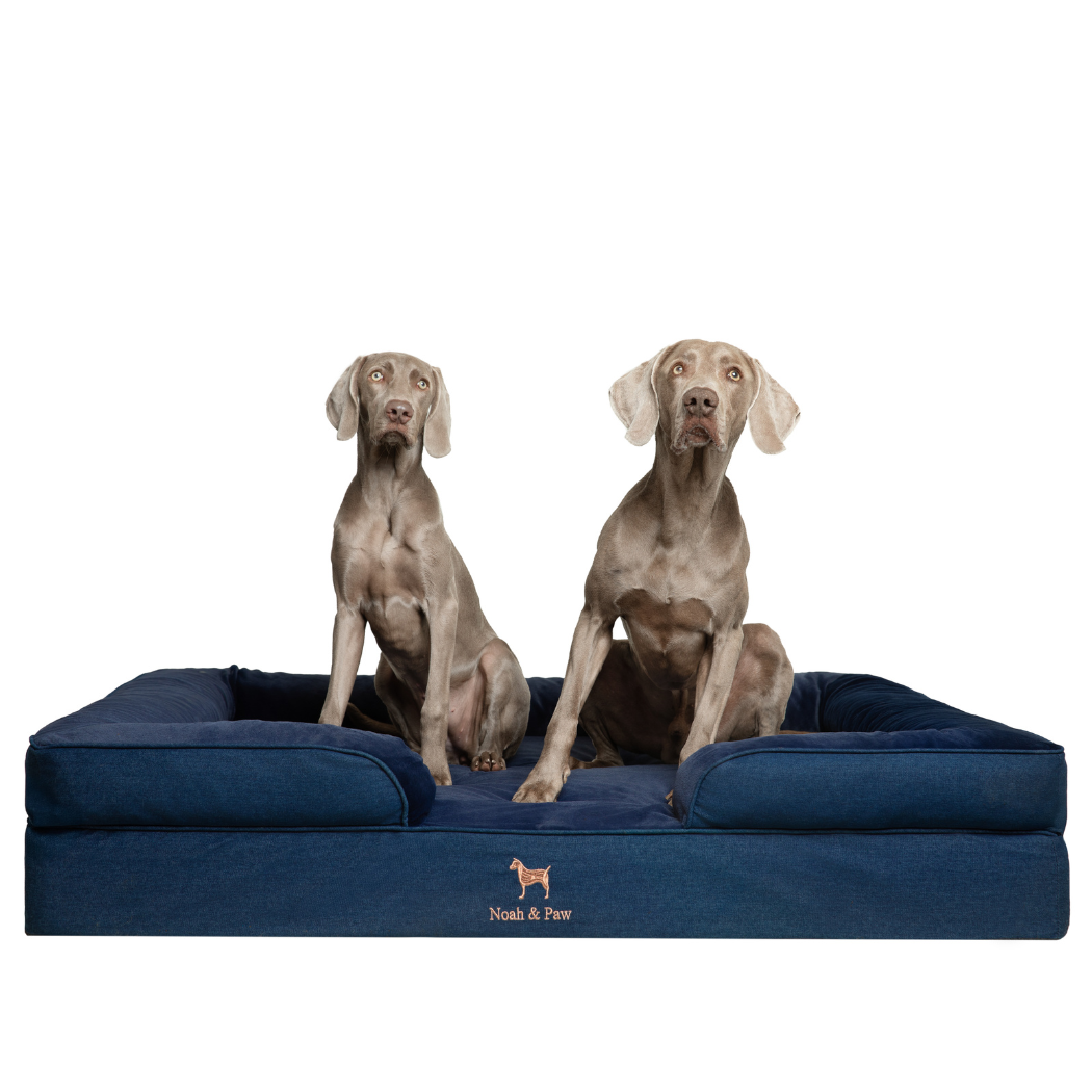 NOAH AND PAW LLC - Denim Orthopedic Pet Bed, Memory Foam, Infused with Cooling Gel