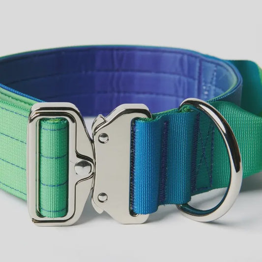 Tactical Dog Collars