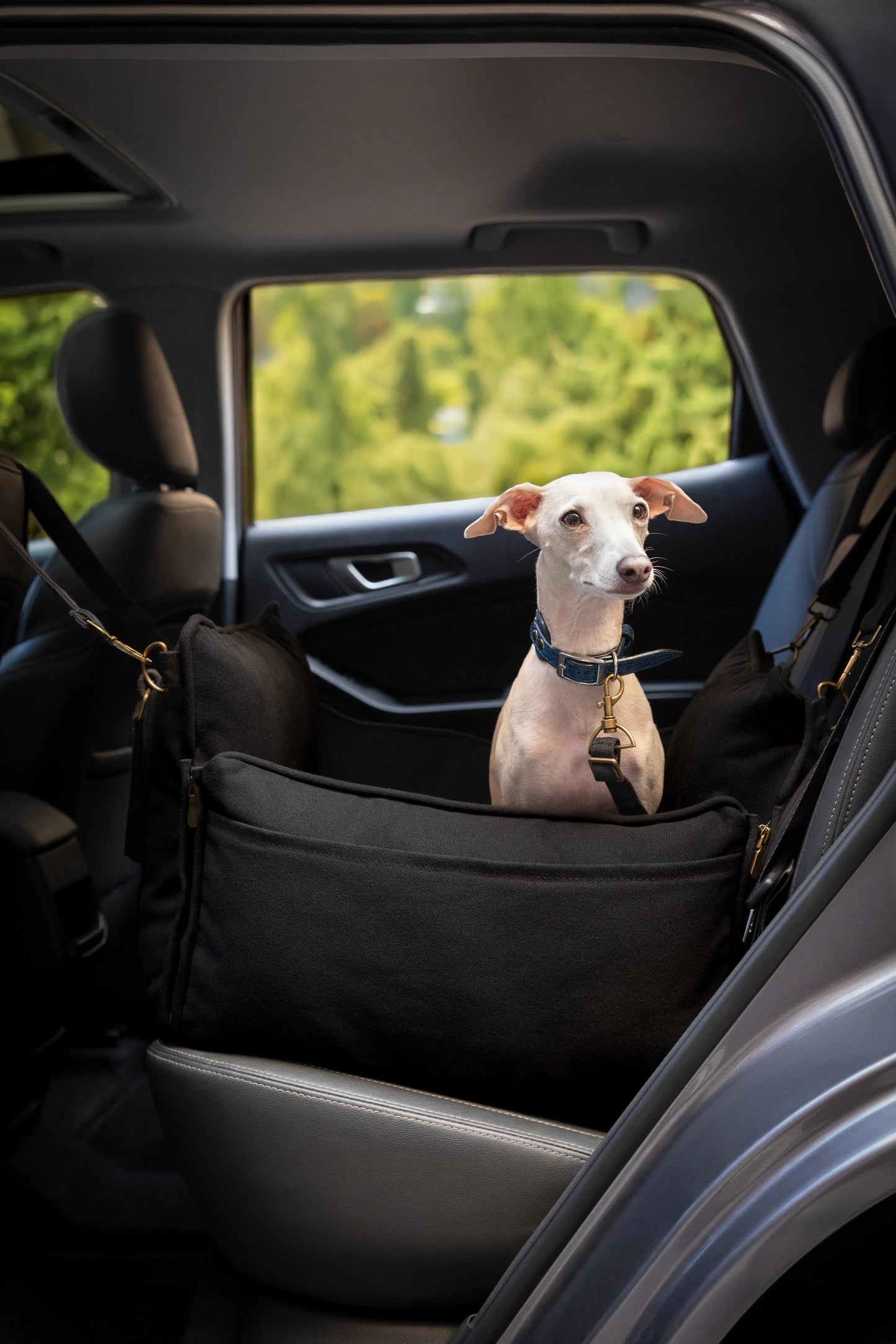NOAH AND PAW LLC - Dog Car Seat Carrier Orthopedic Crushed Foam, Black, Canvas