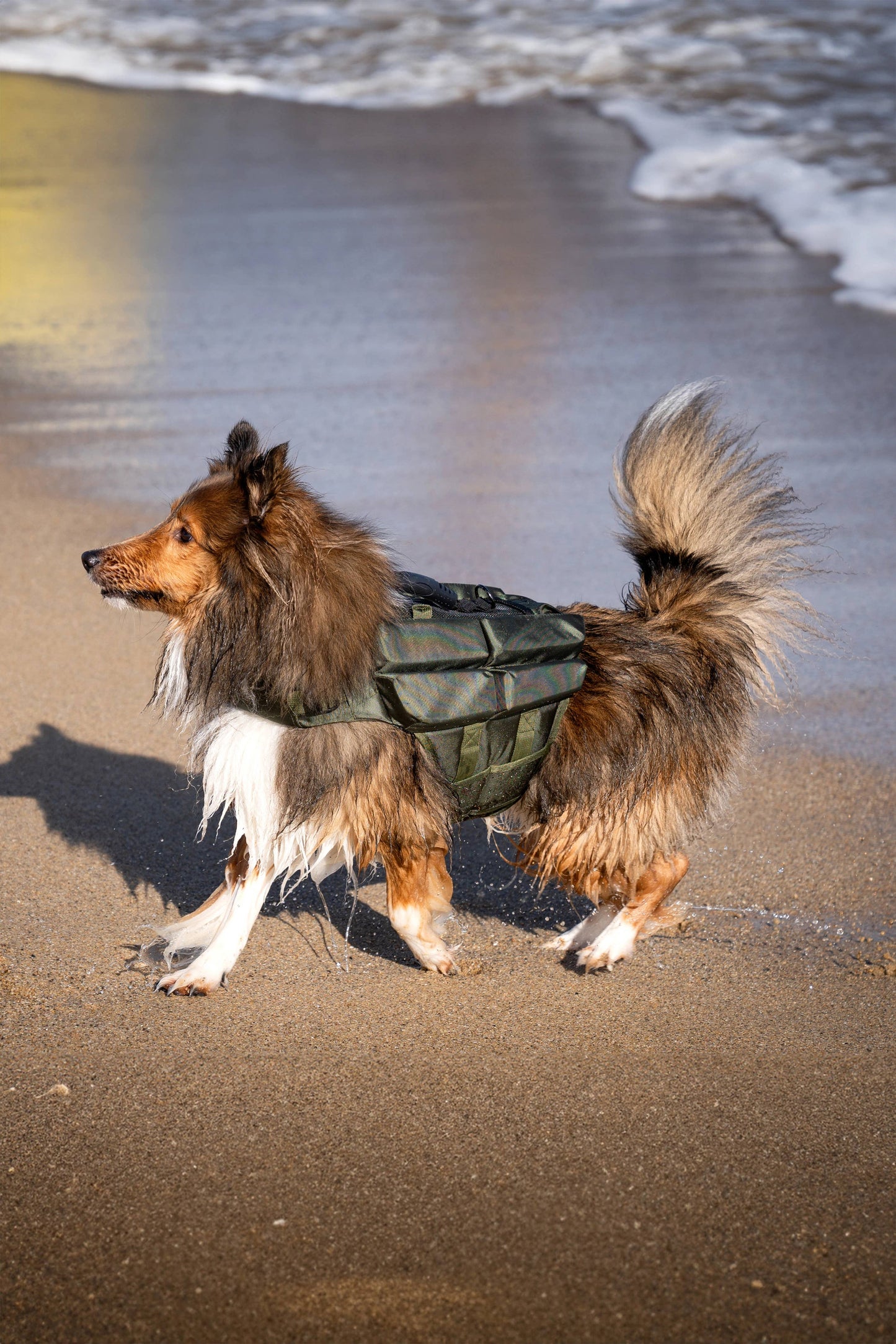 NOAH AND PAW LLC - Human Standards Dog Lifejacket Design with 4x Foam Support for Max Floating - Green