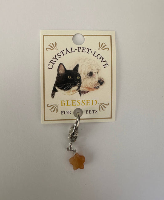 Crystal Pet Love - Citrine Blessings Pendant