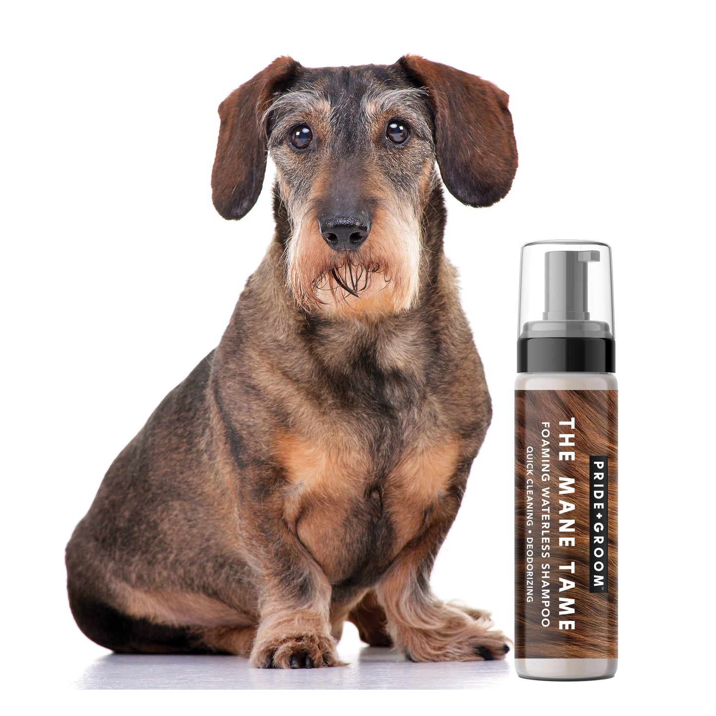 PRIDE+GROOM - THE MANE TAME | WATERLESS SHAMPOO FOAM