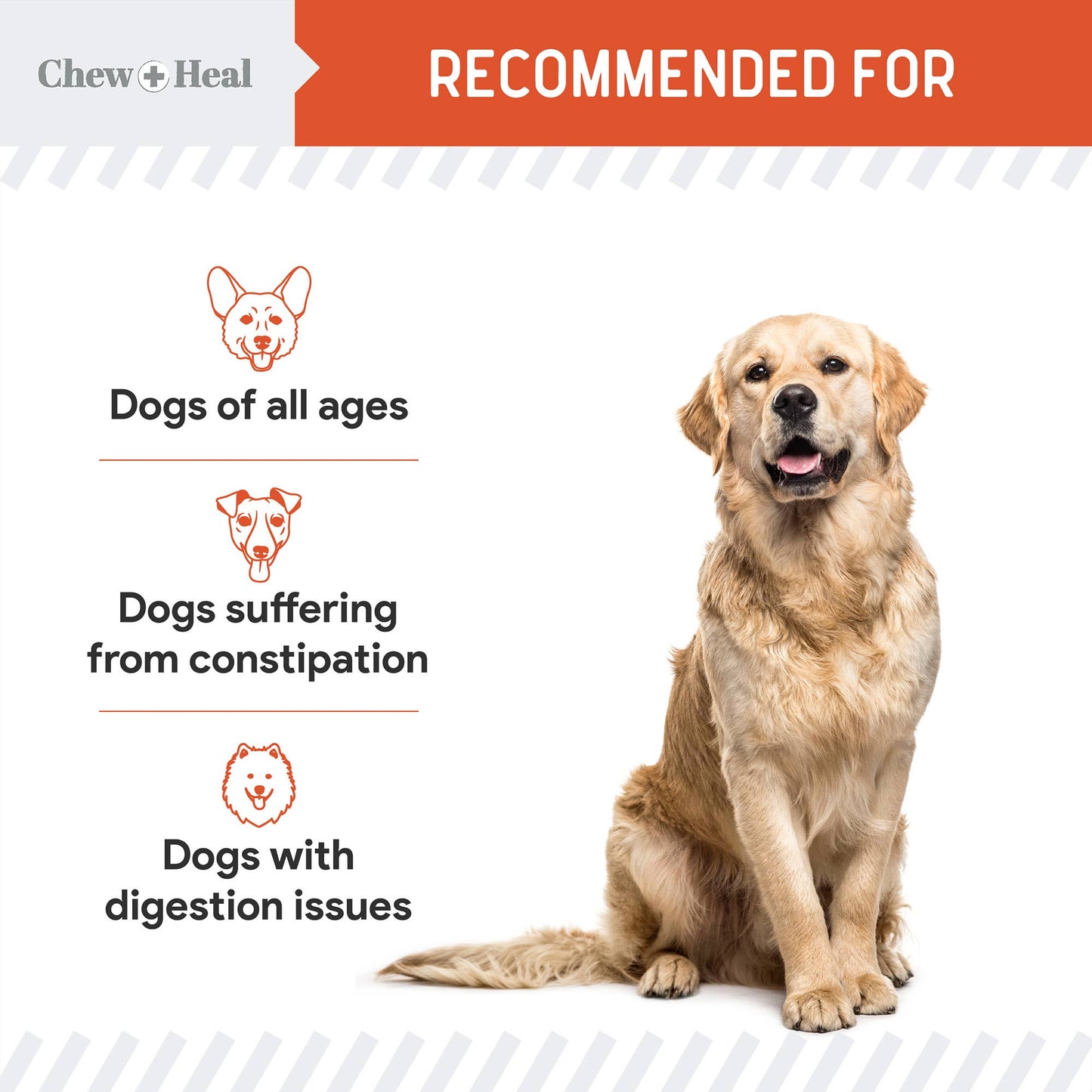 Chew + Heal - Organic Pumpkin Powder Blend, Digestive Defense for Dogs