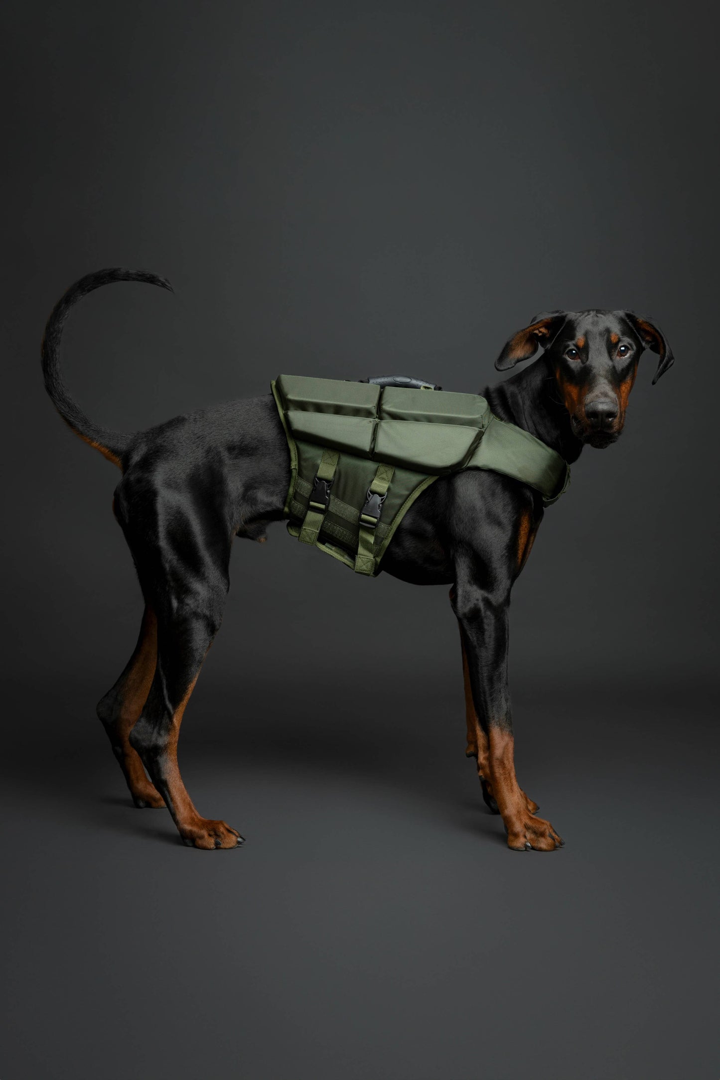 NOAH AND PAW LLC - Human Standards Dog Lifejacket Design with 4x Foam Support for Max Floating - Green