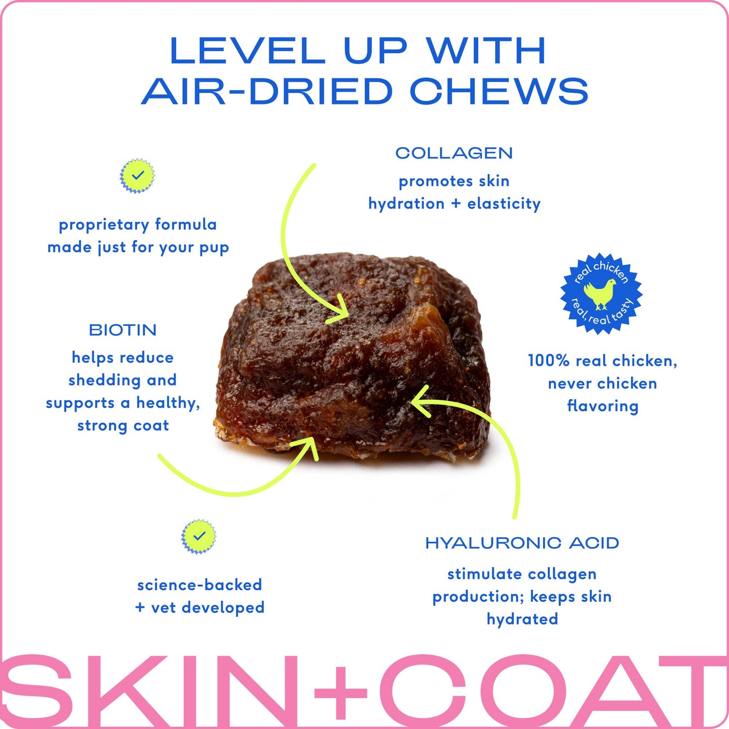 Native Pet - Skin + Coat Chews, Skin & Coat Supplement for Dogs