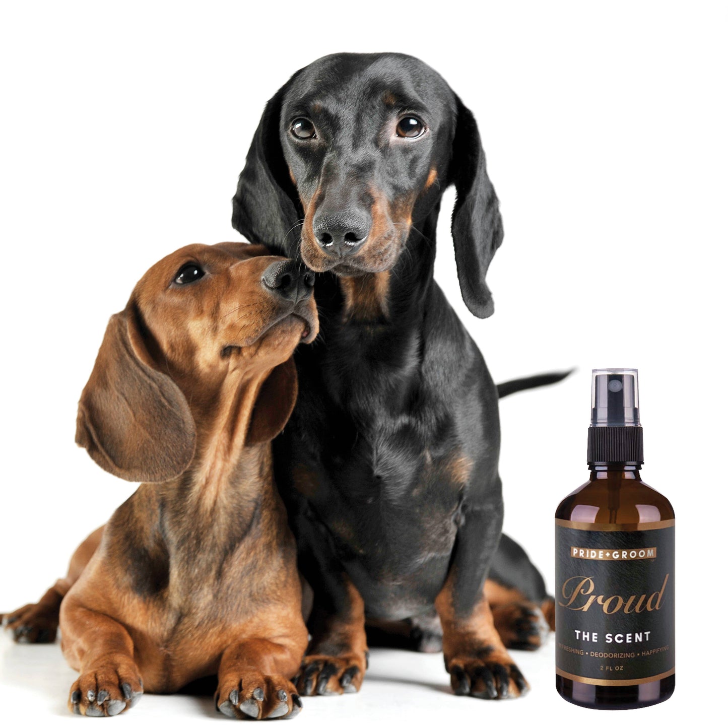 PRIDE+GROOM - PROUD | THE SCENT