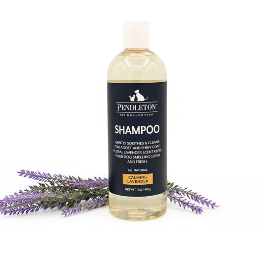 Carolina Pet Company - Pendleton Pet Lavender Scented Shampoo for Dogs