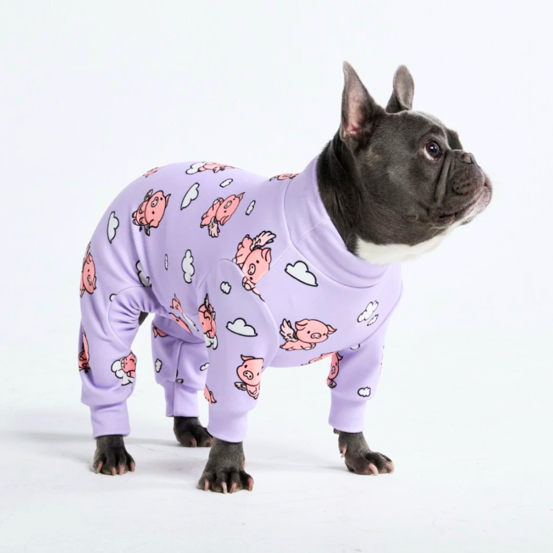 Spark Paws - Dog Pajama - When Pigs Fly