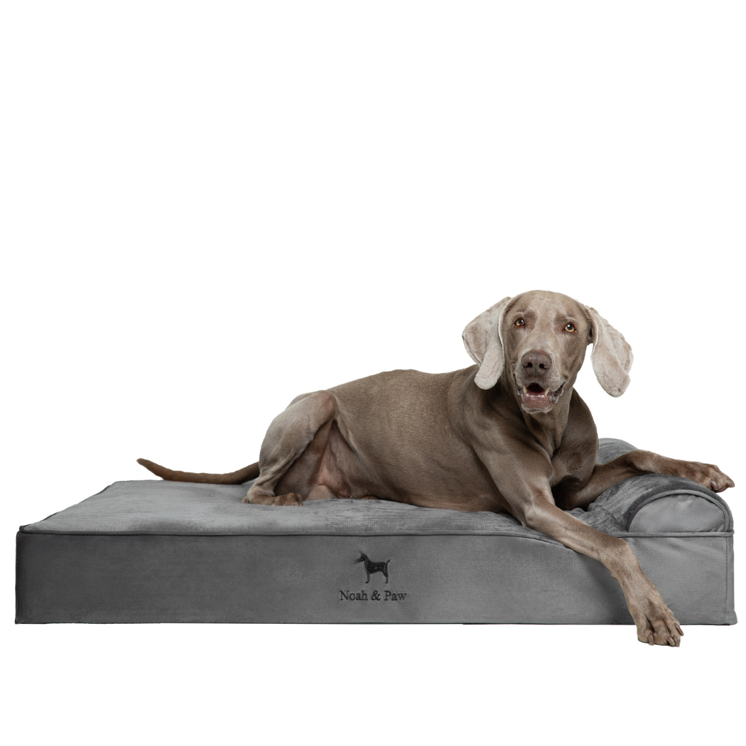 NOAH AND PAW LLC - Velvet Orthopedic Pet Bed, Memory Foam, Infused with Cooling Gel - Classic