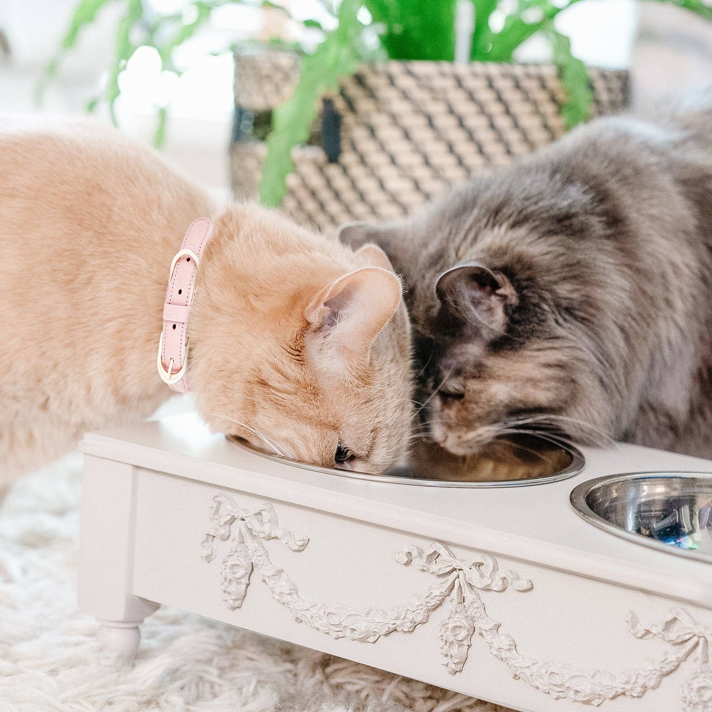 Helpen Pets - Scrollie  Dog or Cat Elevated Pet Feeder