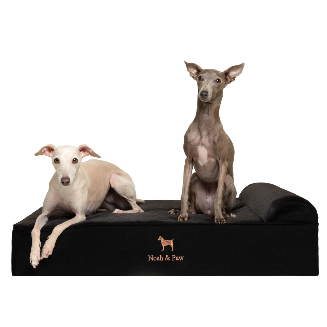 NOAH AND PAW LLC - Denim Orthopedic Pet Bed, Memory Foam, Infused with Cooling Gel - Classic