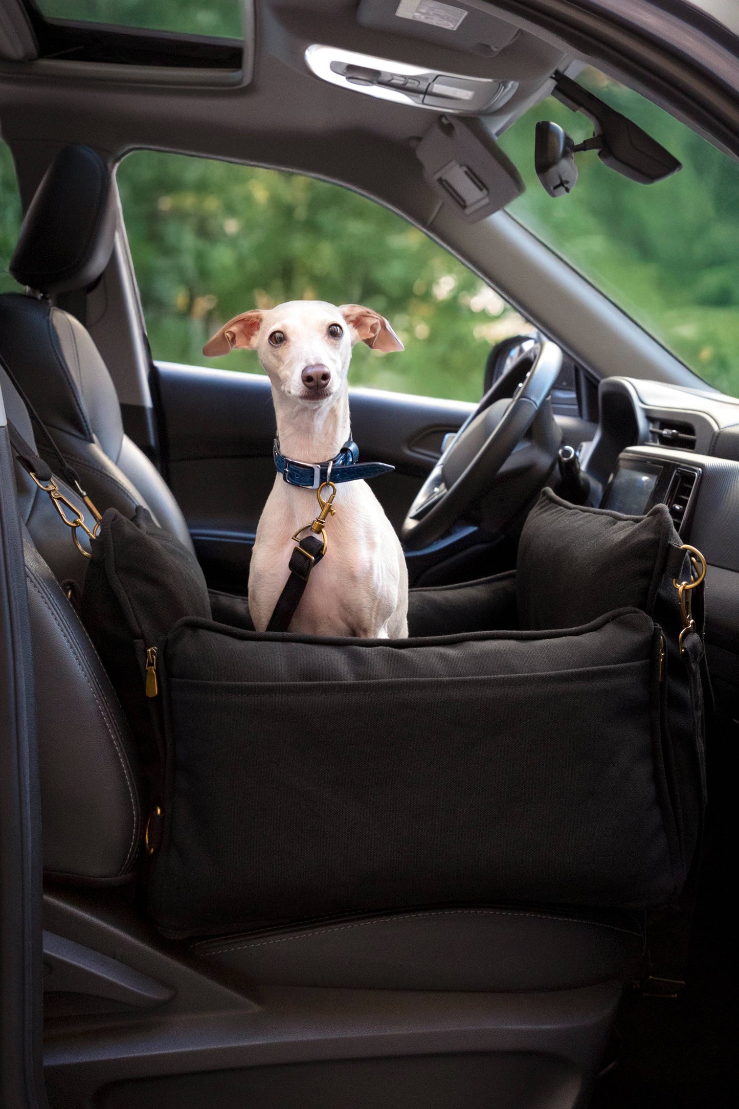 NOAH AND PAW LLC - Dog Car Seat Carrier Orthopedic Crushed Foam, Charcoal, Canvas