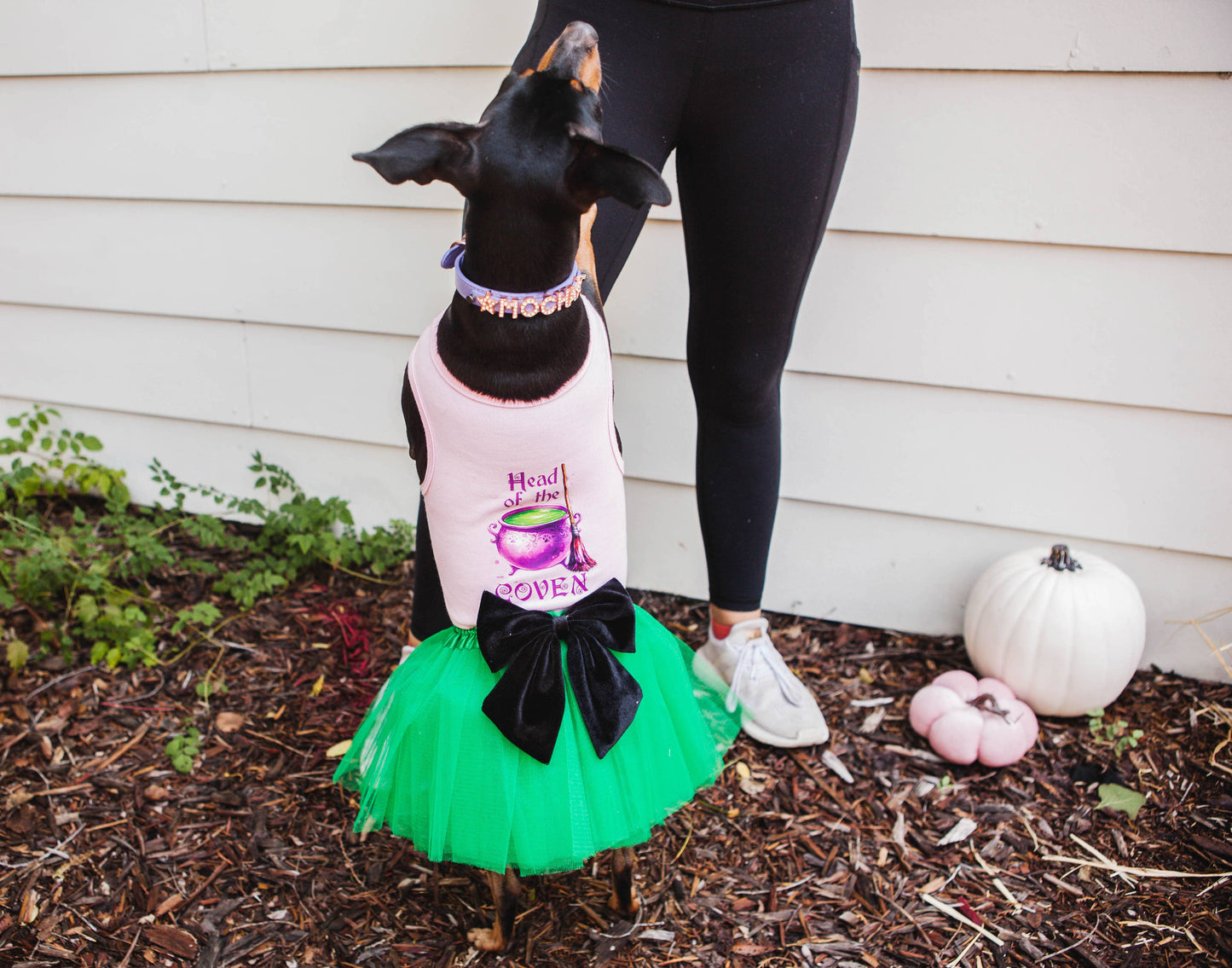 House of FurBaby - Halloween Dog Costume Shirt and Tutu | Head Of The Coven