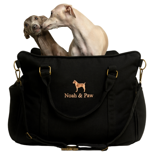 NOAH AND PAW LLC - Dog Car Seat Carrier Orthopedic Crushed Foam, Black, Canvas