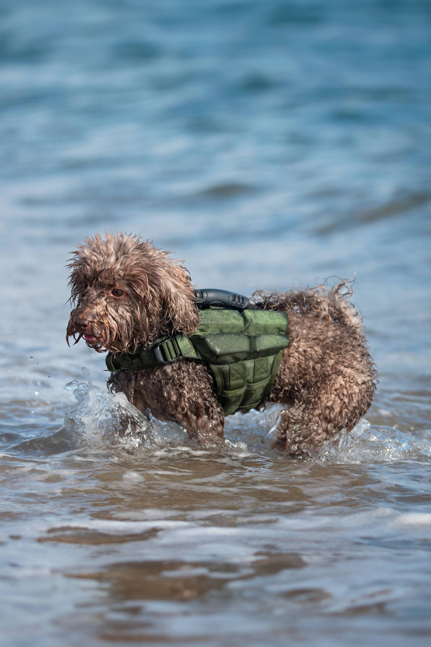 NOAH AND PAW LLC - Human Standards Dog Lifejacket Design with 4x Foam Support for Max Floating - Green