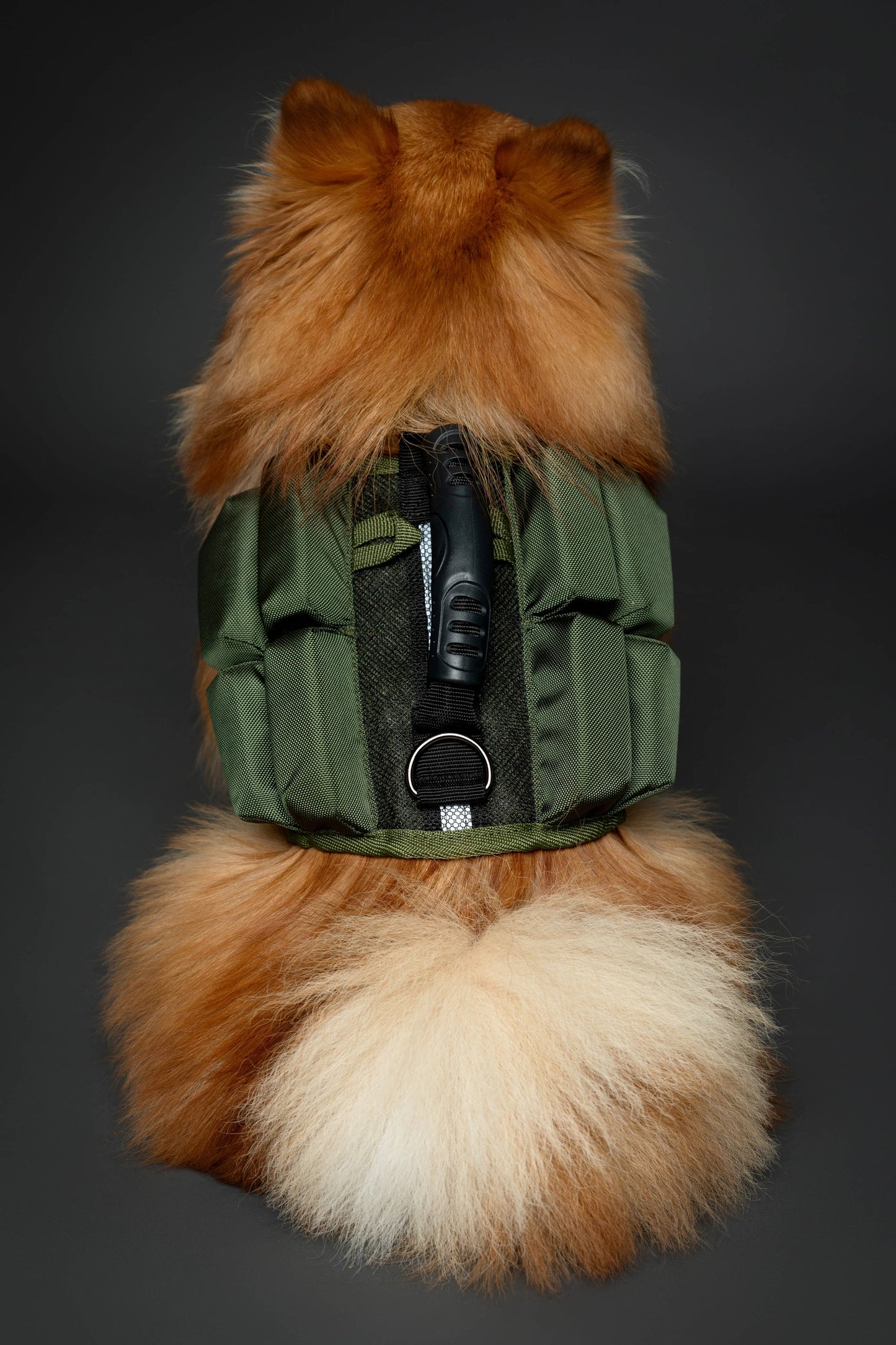NOAH AND PAW LLC - Human Standards Dog Lifejacket Design with 4x Foam Support for Max Floating - Green