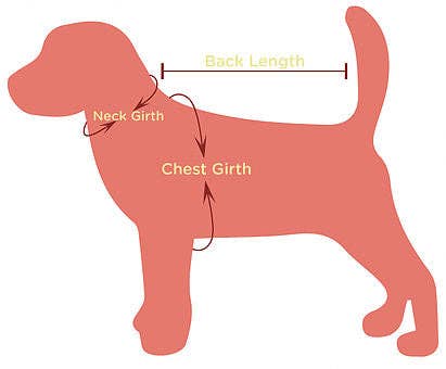 House of FurBaby - Halloween Dog Costume Shirt and Tutu | Head Of The Coven