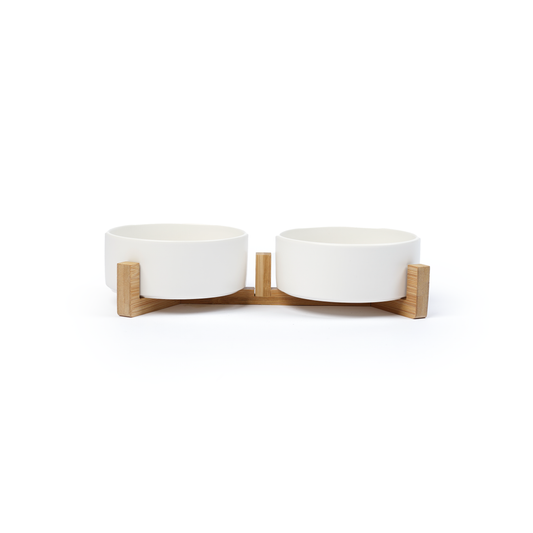 Dollar Paw - 2 Pack Pet Bowl