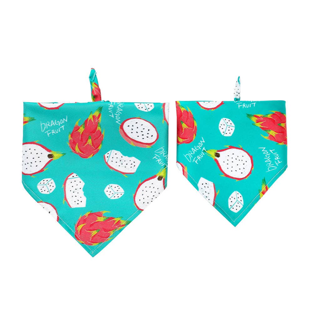 Cheerhunting - Furbud - Summer Pet Bandana