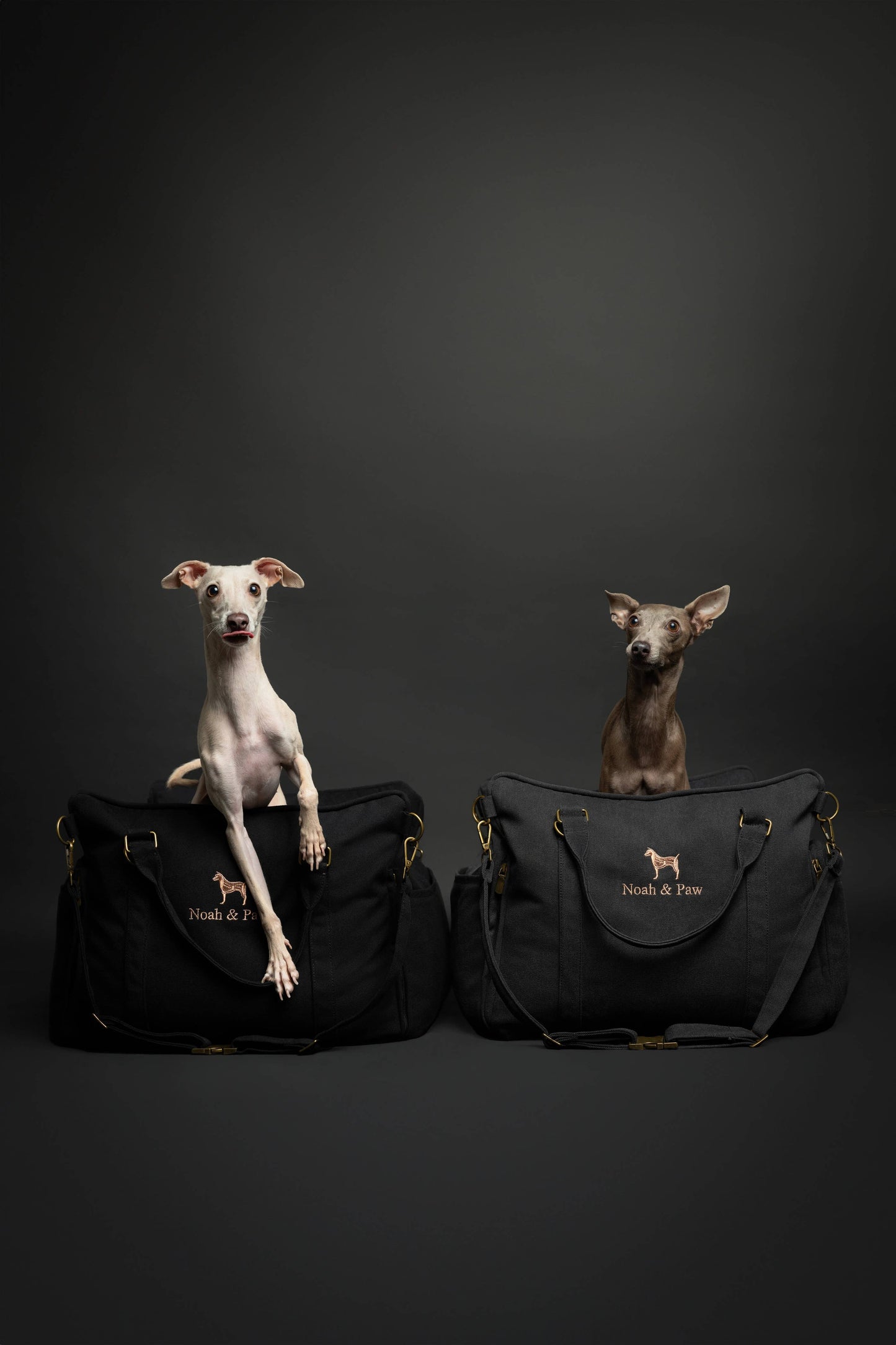 NOAH AND PAW LLC - Dog Car Seat Carrier Orthopedic Crushed Foam, Black, Canvas
