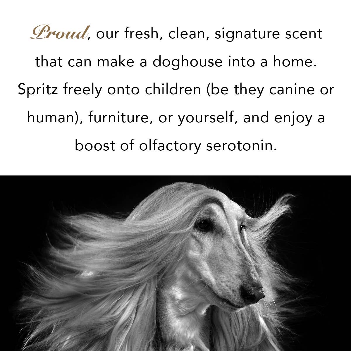 PRIDE+GROOM - PROUD | THE SCENT
