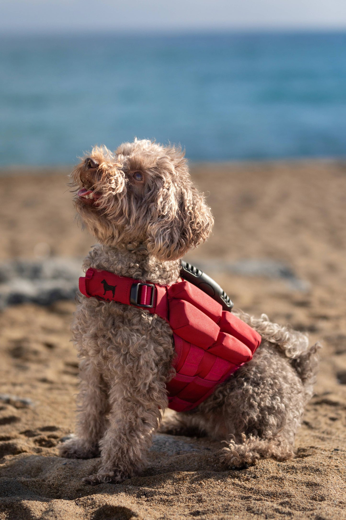 NOAH AND PAW LLC - Human Standards Dog Lifejacket Design with 4x Foam Support for Max Floating - Red